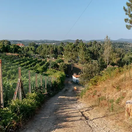 Alma-rio 3 By Mycelia