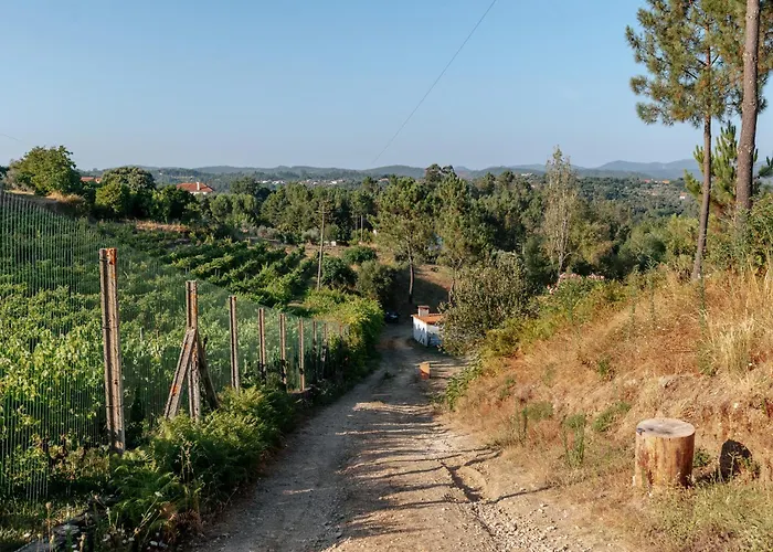 Alma-rio 3 By Mycelia