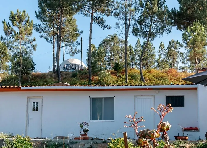 Alma-rio 3 By Mycelia