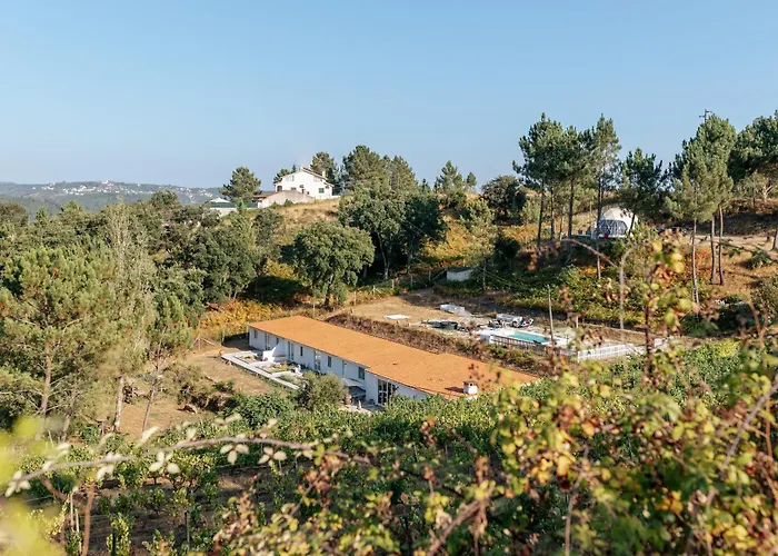 Casa de hóspedes Alma-rio 3 By Mycelia