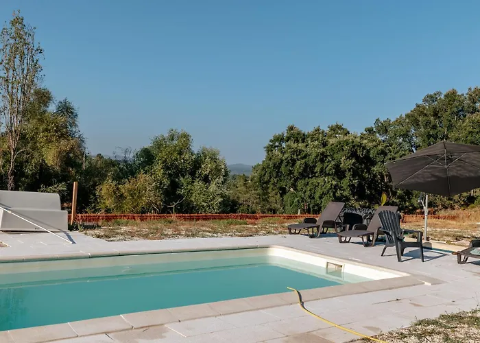 Alma-rio 3 By Mycelia